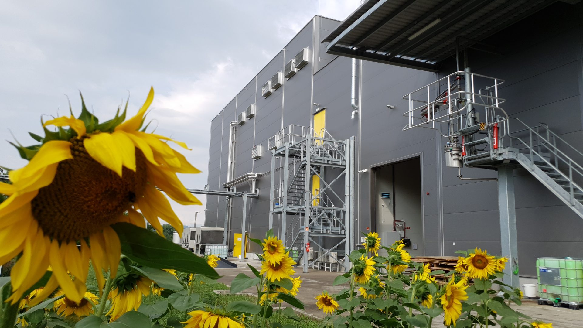 Sunbloom Proteins, une start-up allemande spécialisée dans la production d’extraits de protéines de tournesol pour la consommation humaine, a été rachetée fin avril 2023. © Groupe Avril